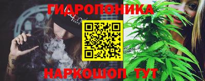 прущие крисы Янаул
