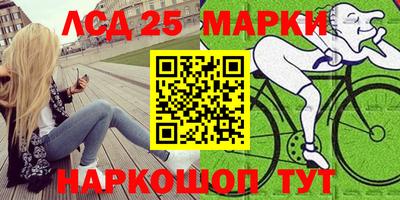 гашик Ярцево