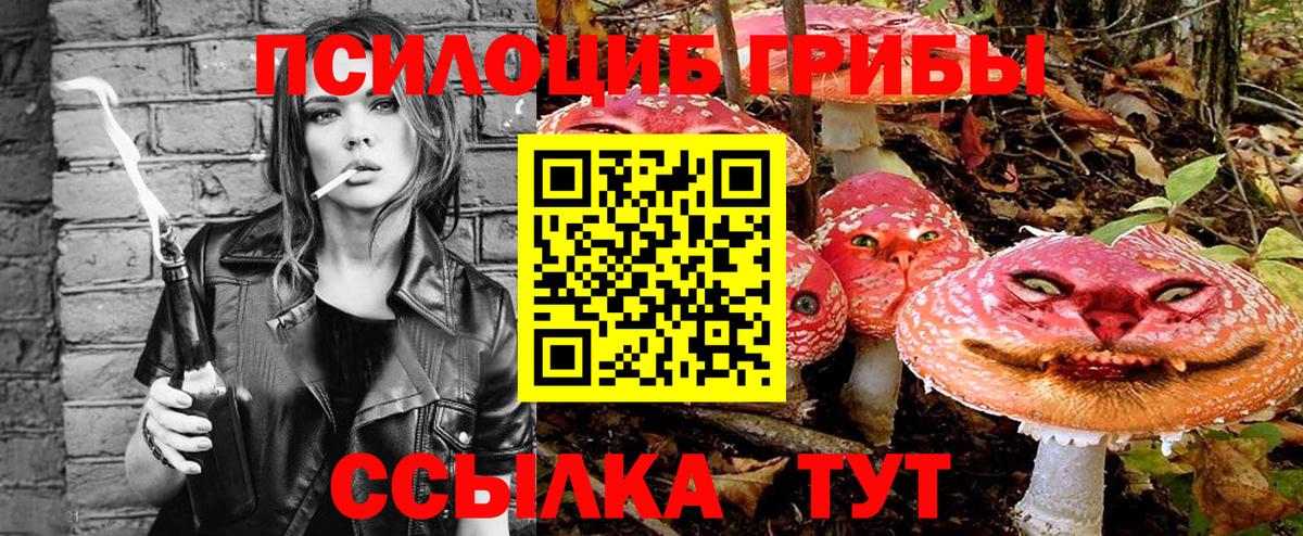 Псилоцибиновые грибы мухоморы Бердск