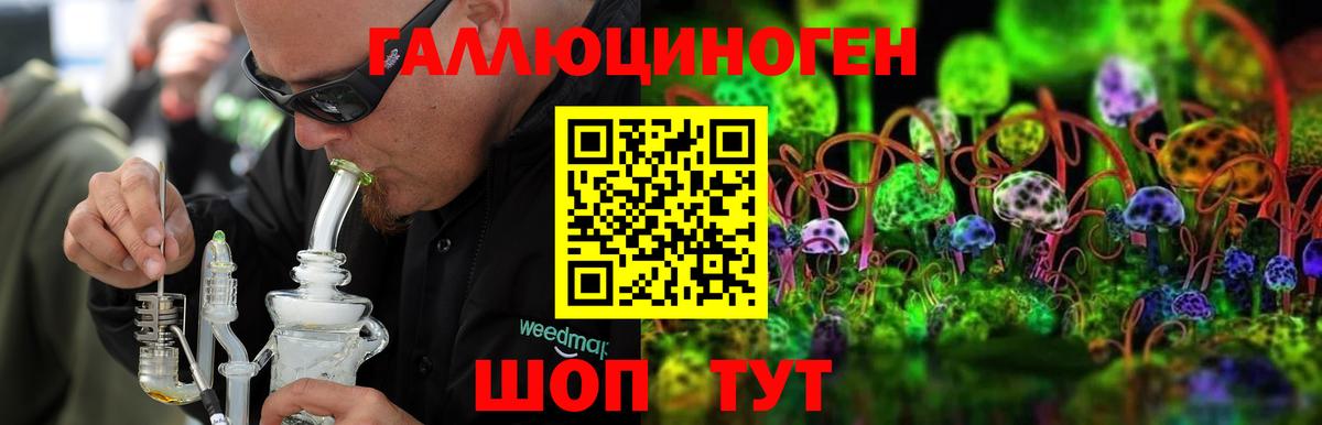 Псилоцибиновые грибы Psilocybine cubensis  Вход с VPN  Бердск  Псилоцибиновые грибы ЛСД 